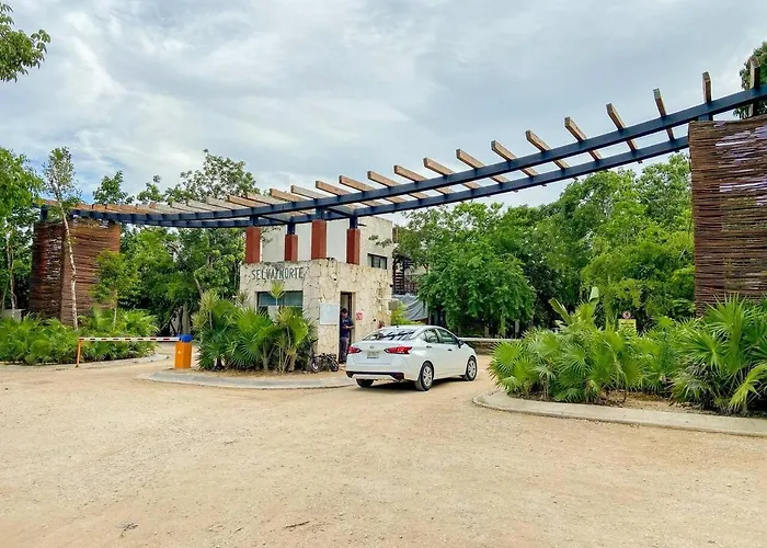 Apartamento Selva Norte Jungle Luxe With Jaccuzi And Pool Tulum